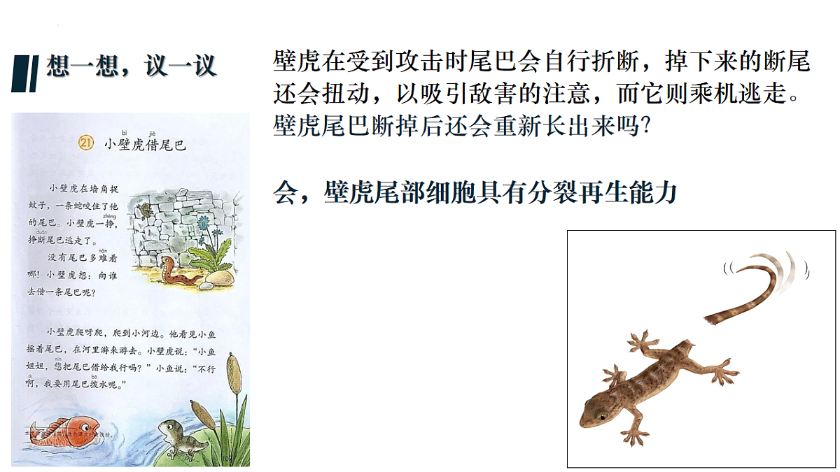 17760368第2页