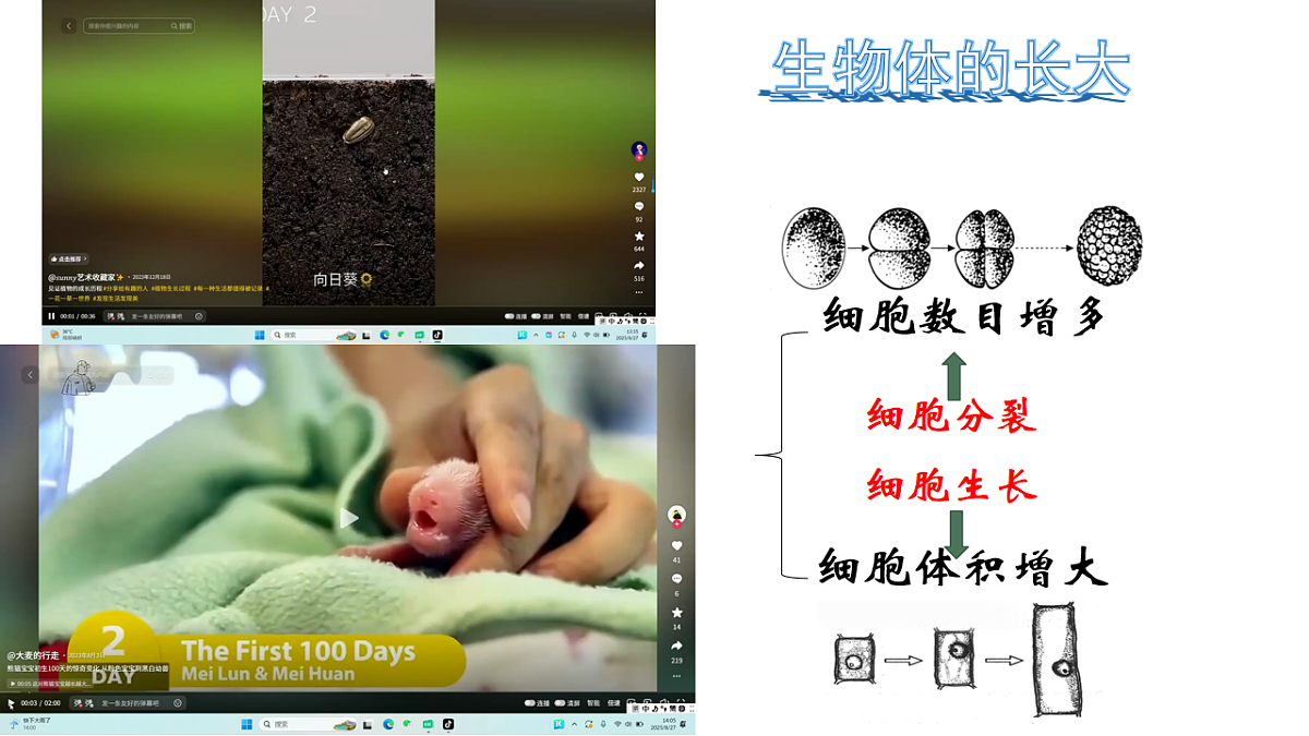 17760368第3页
