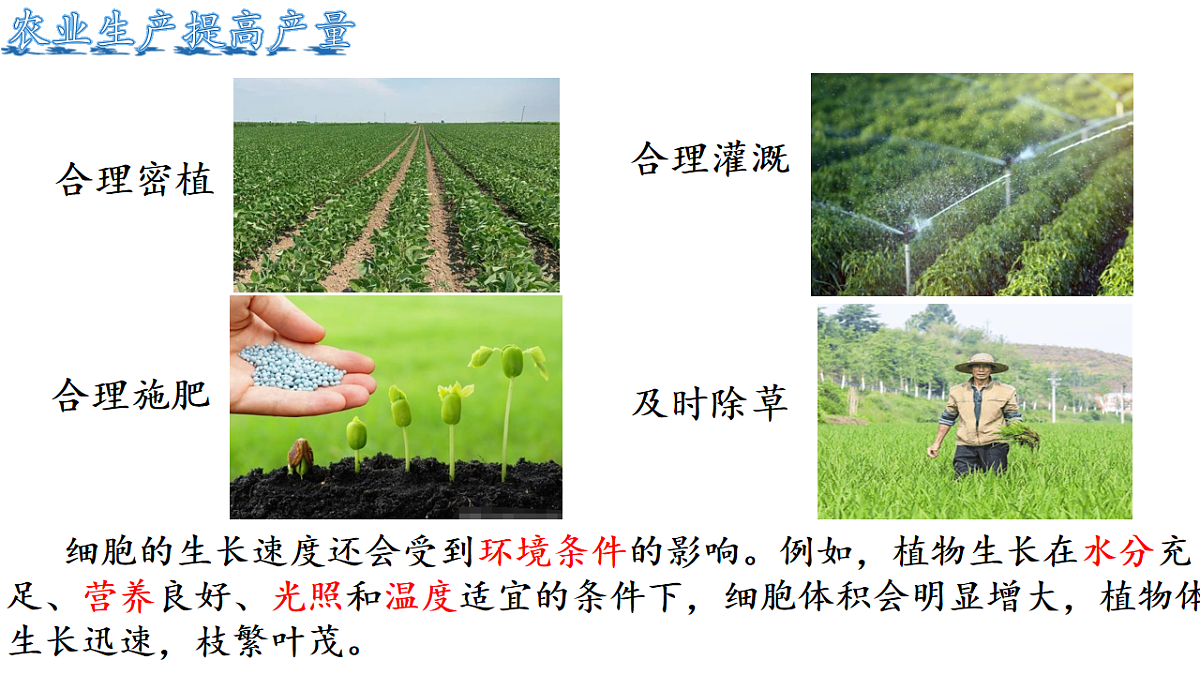 17760368第5页