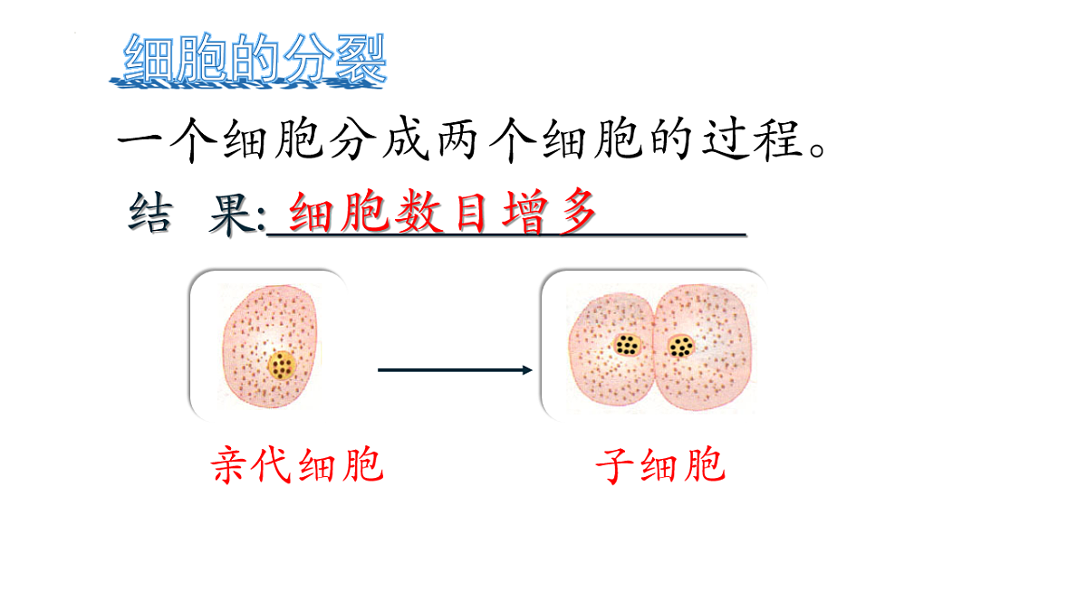 17760368第7页