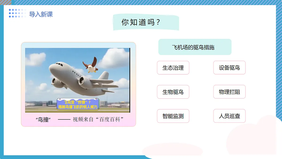 17760370第4页