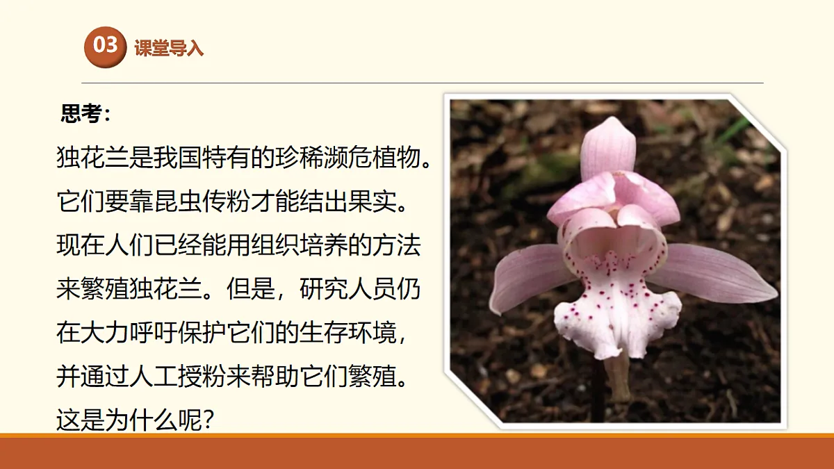 17761441第4页