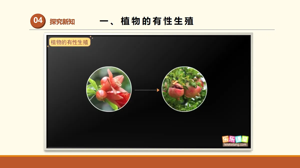 17761441第5页