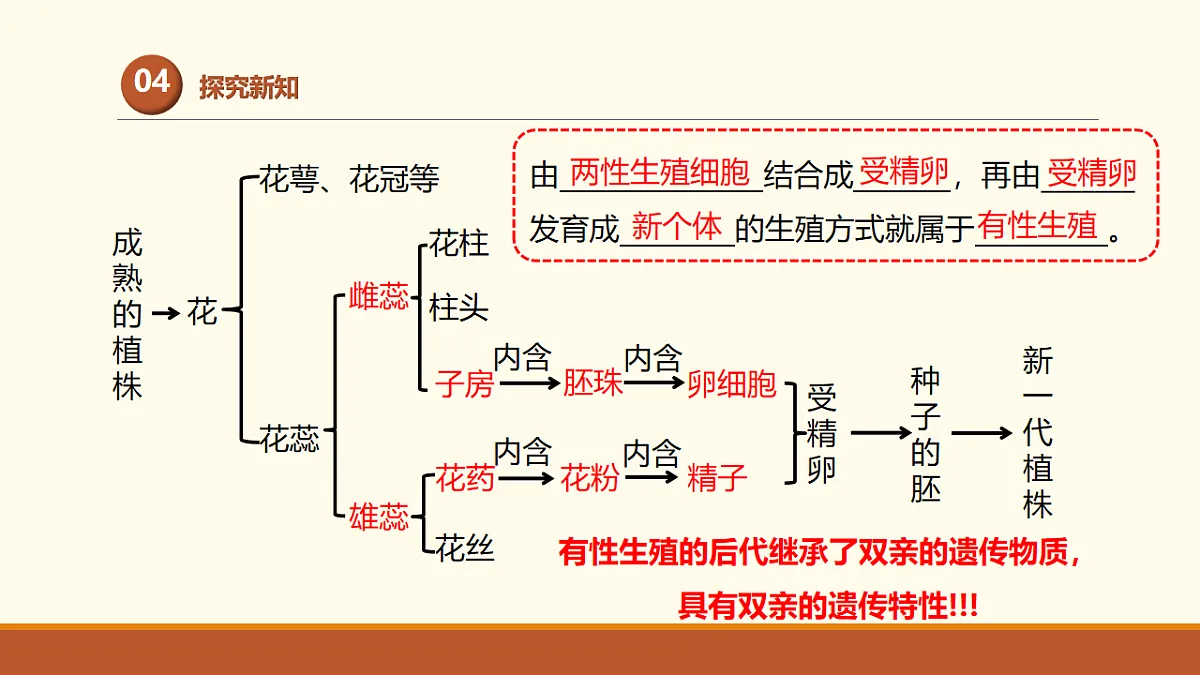 17761441第6页