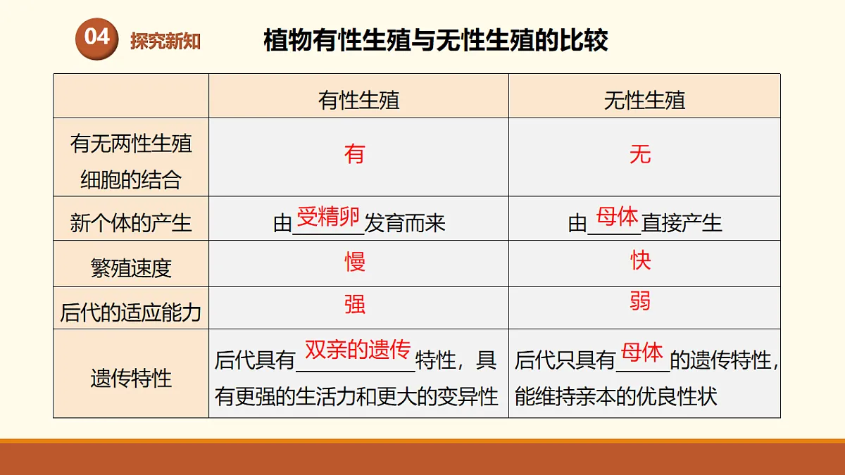 17761441第7页