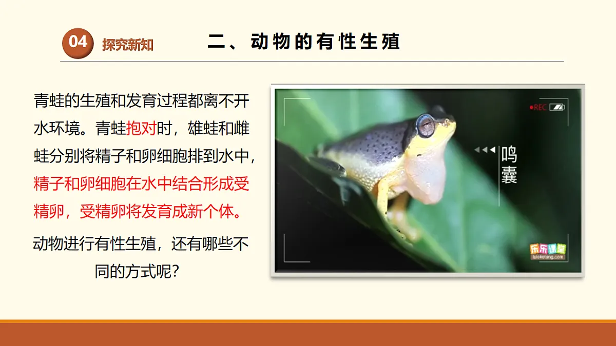 17761441第8页