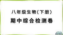期中综合检测卷课件2025-2026学年人教版生物八年级下册