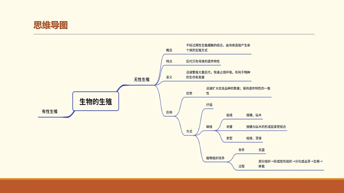 17762120第3页