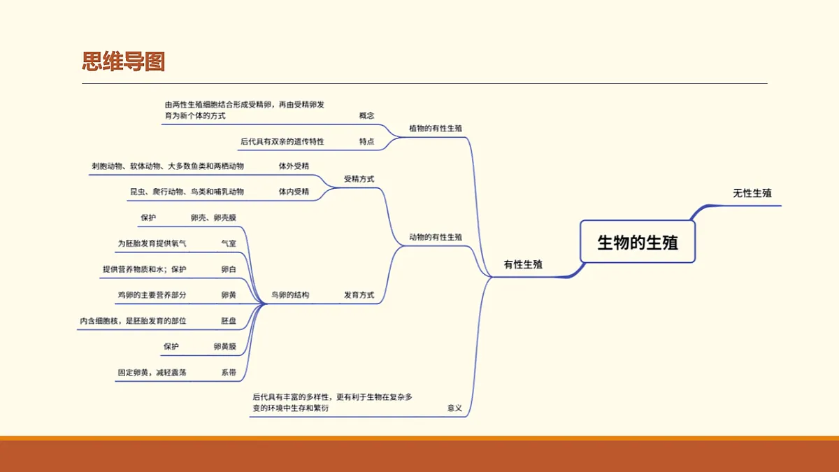 17762120第4页