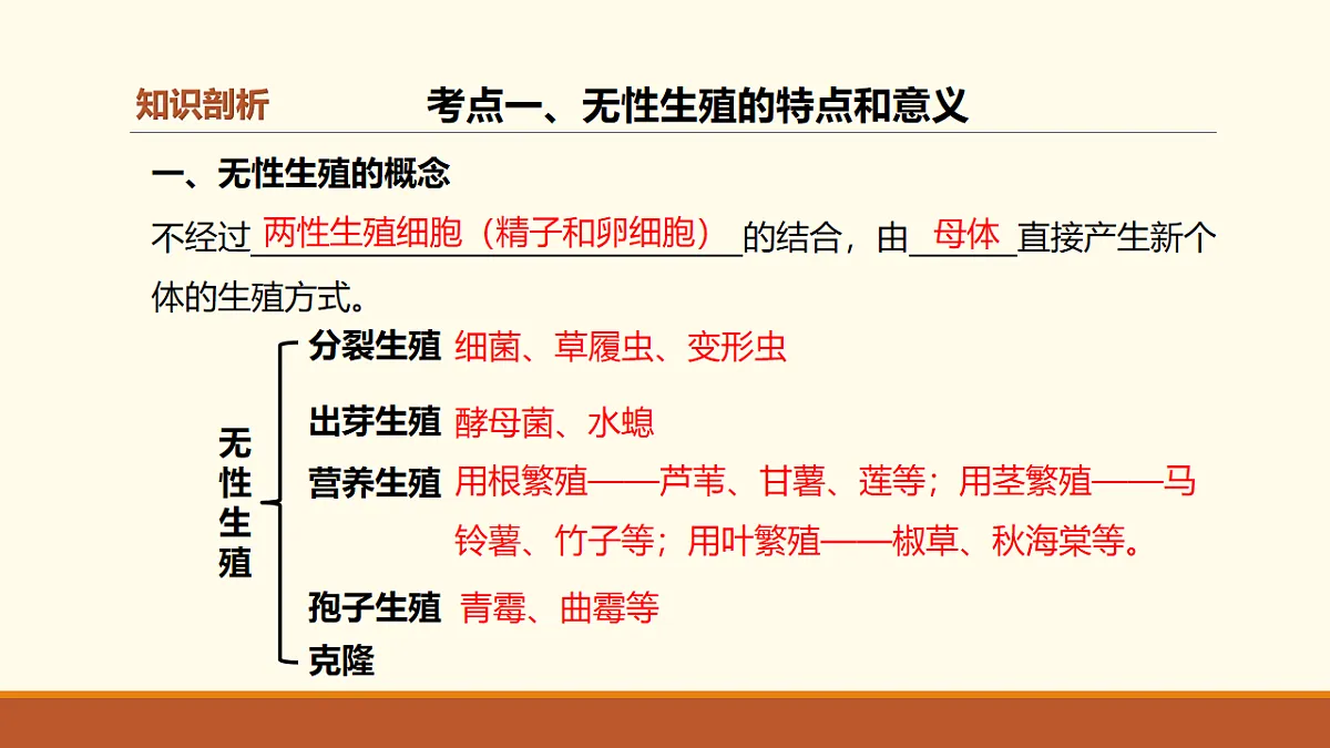 17762120第5页
