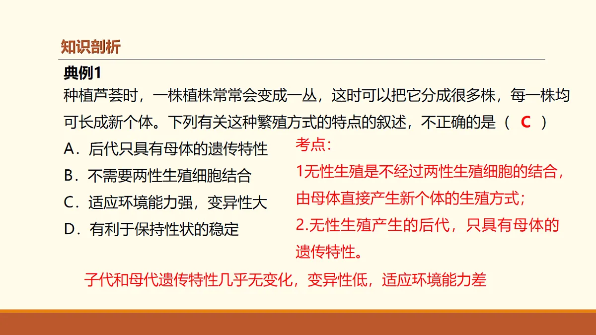 17762120第7页