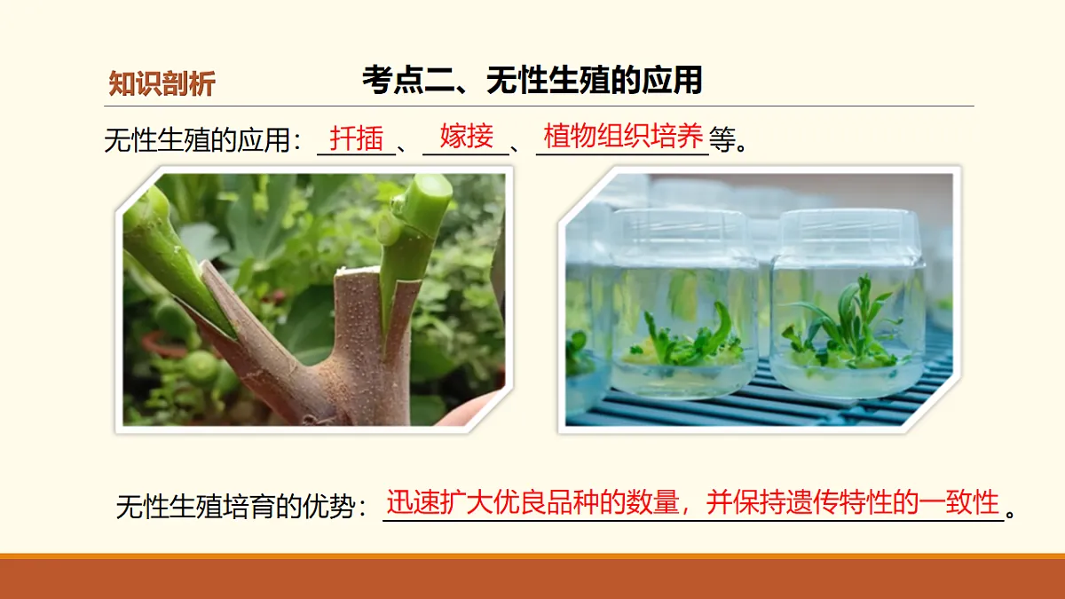 17762120第8页