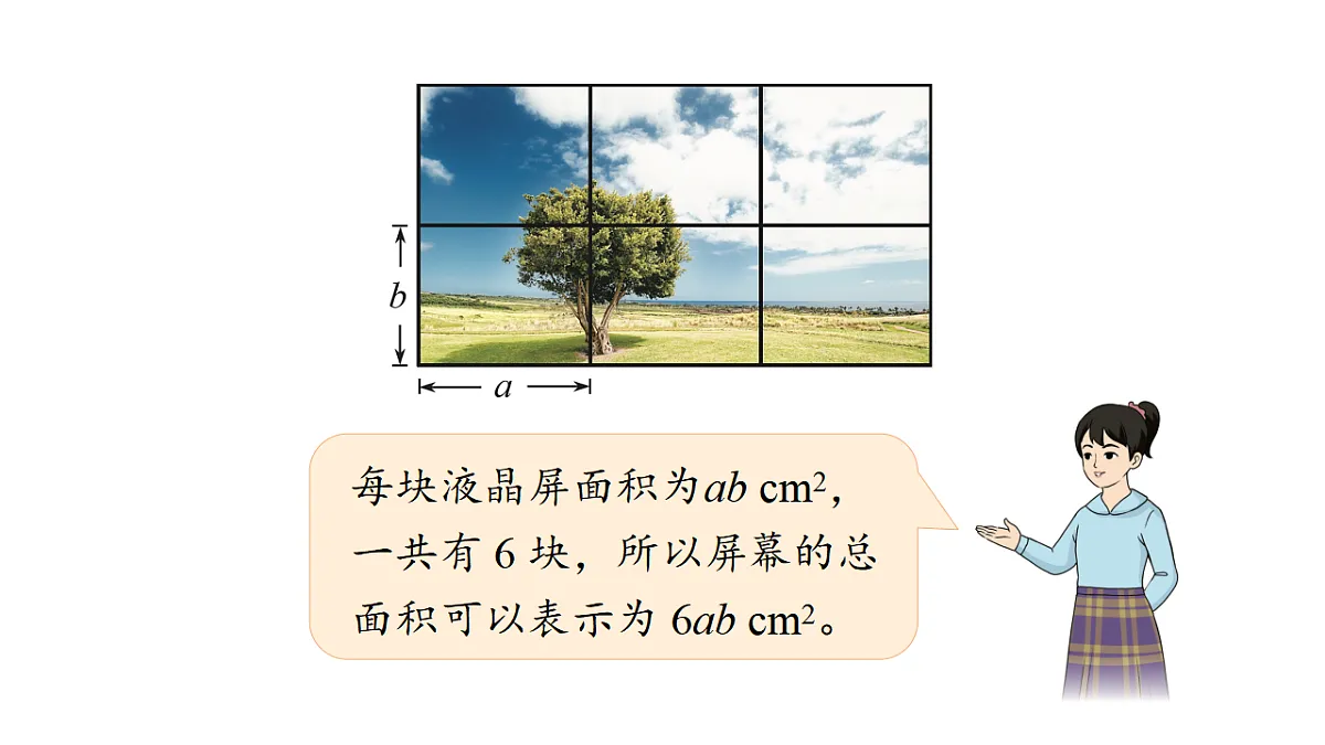 17762192第6页