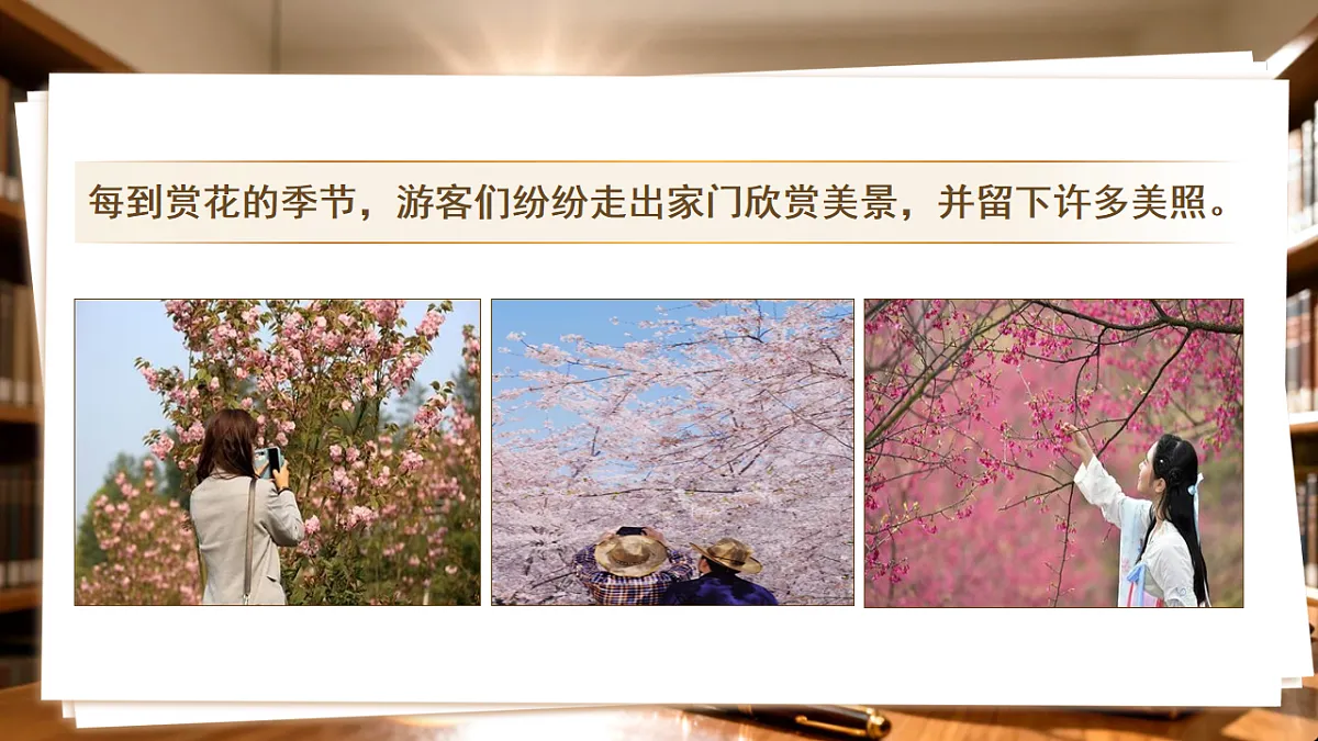4.1 权利与义务相统一第1页