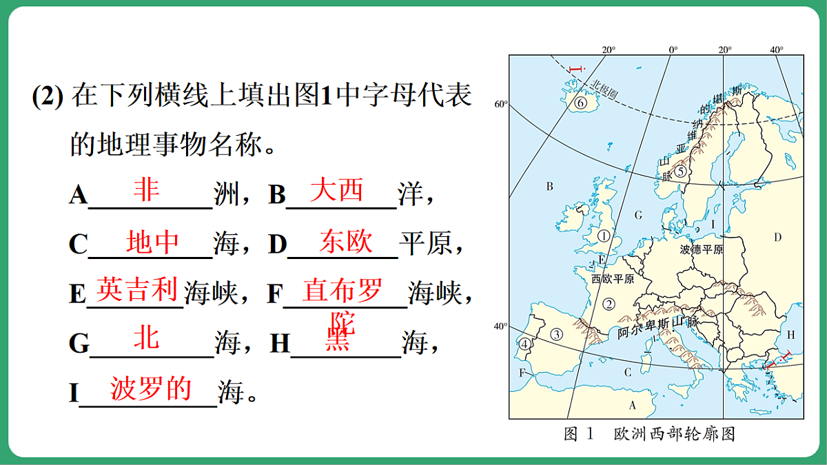 17762690第3页