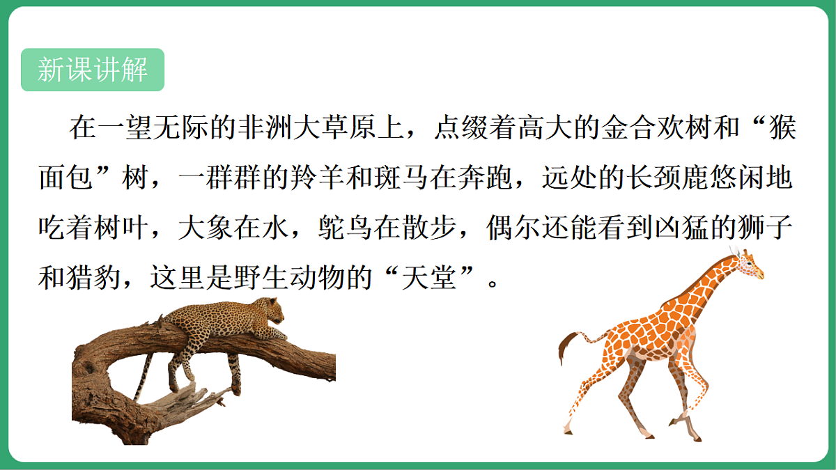 17762690第7页