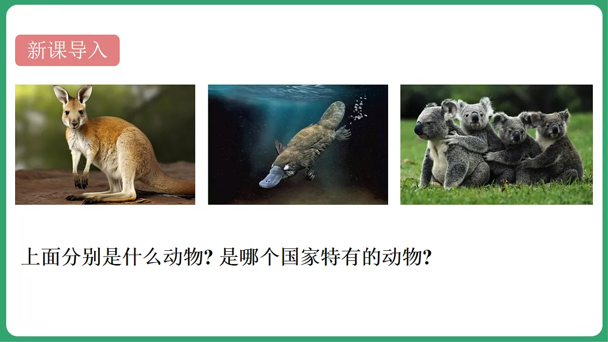 17762695第7页