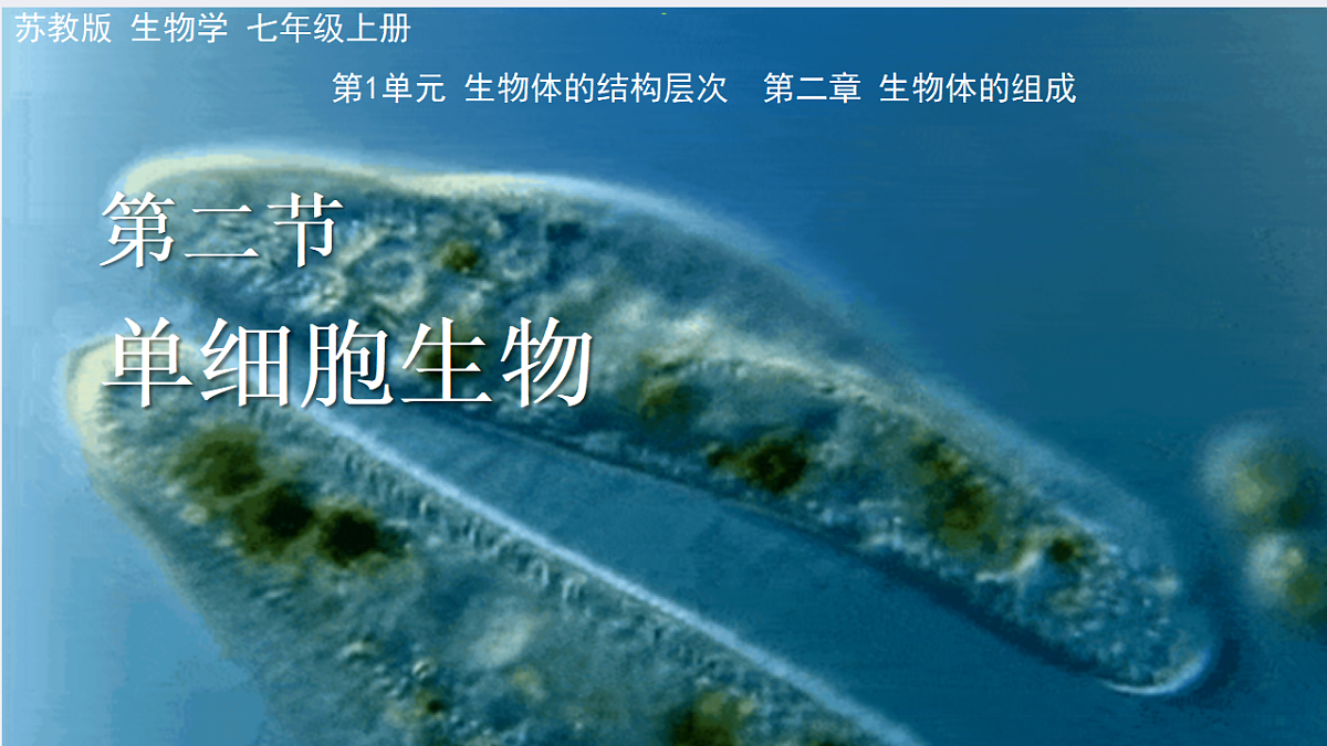 17763324第1页