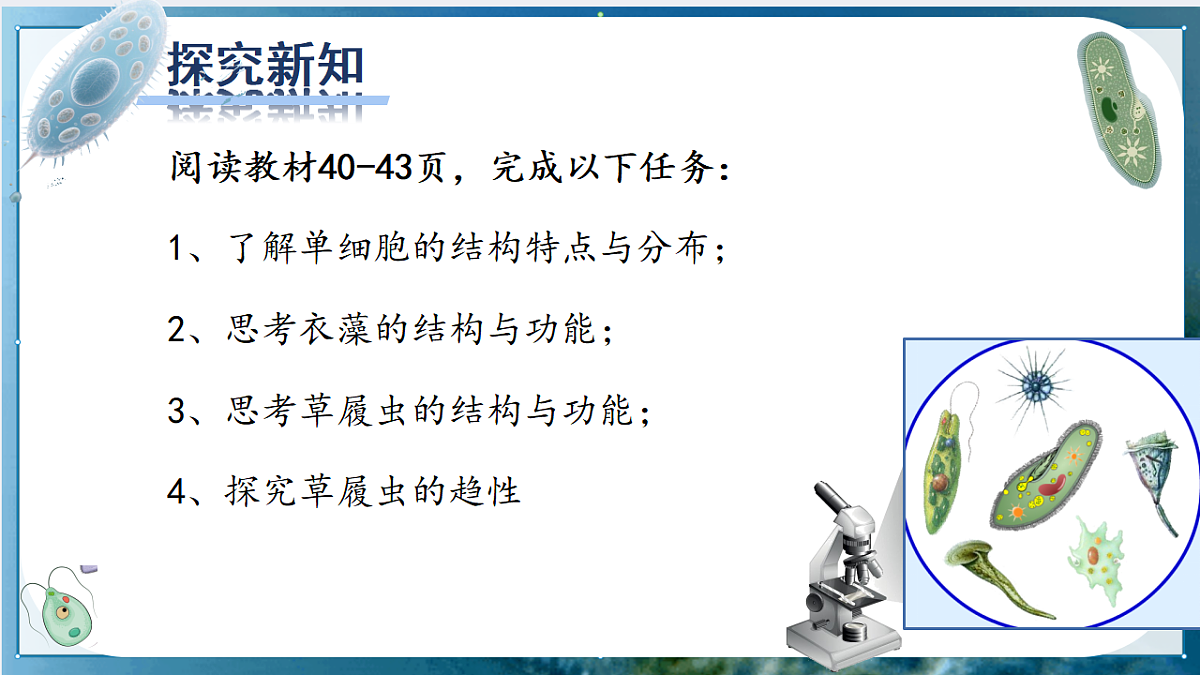 17763324第2页