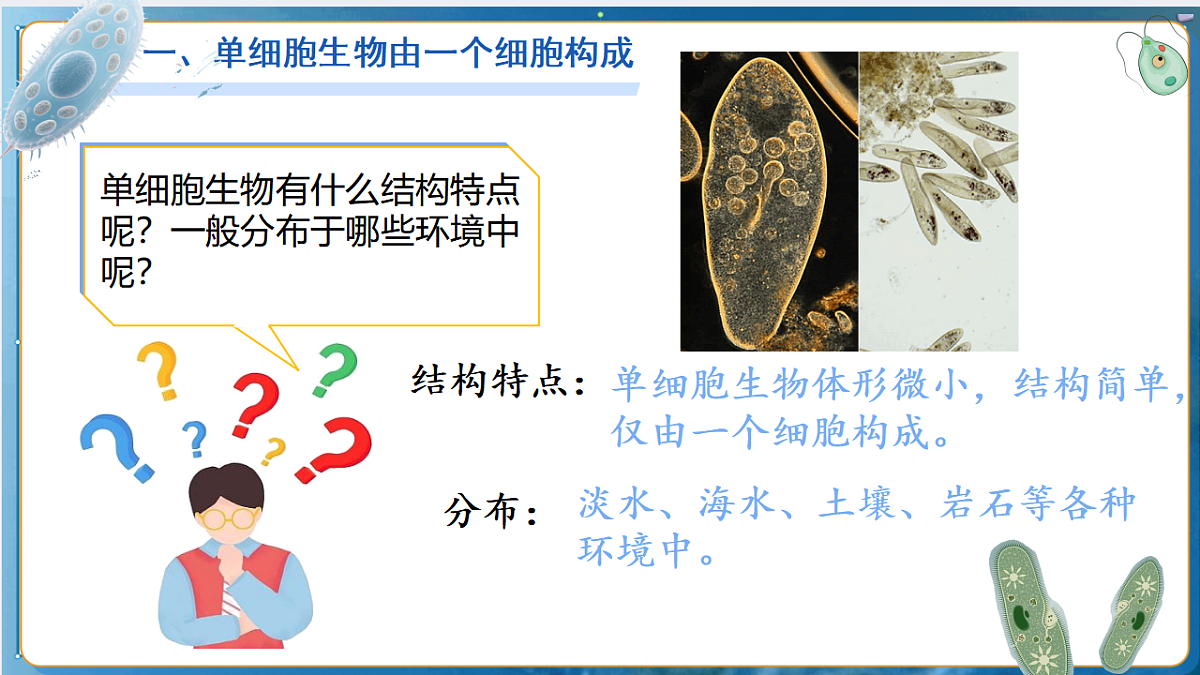 17763324第4页