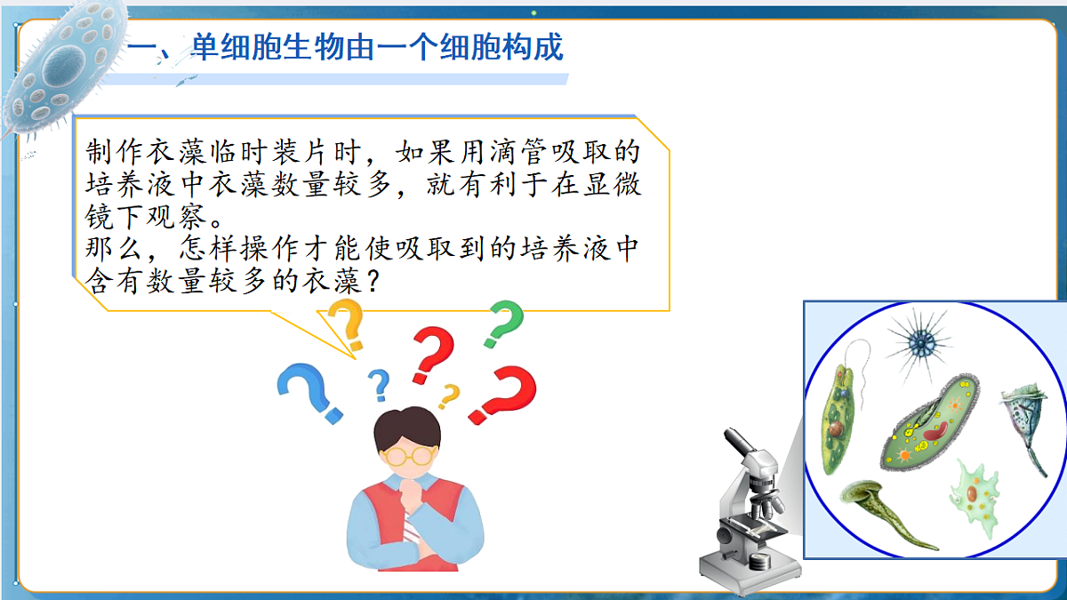 17763324第6页