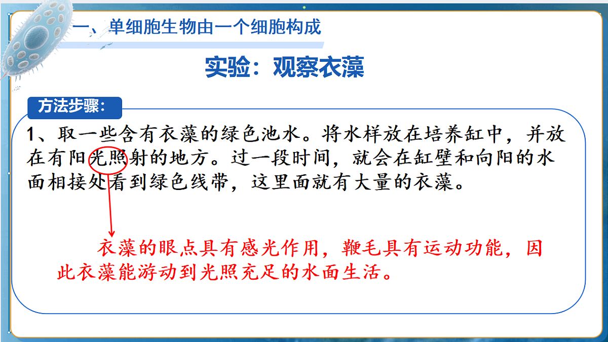 17763324第7页