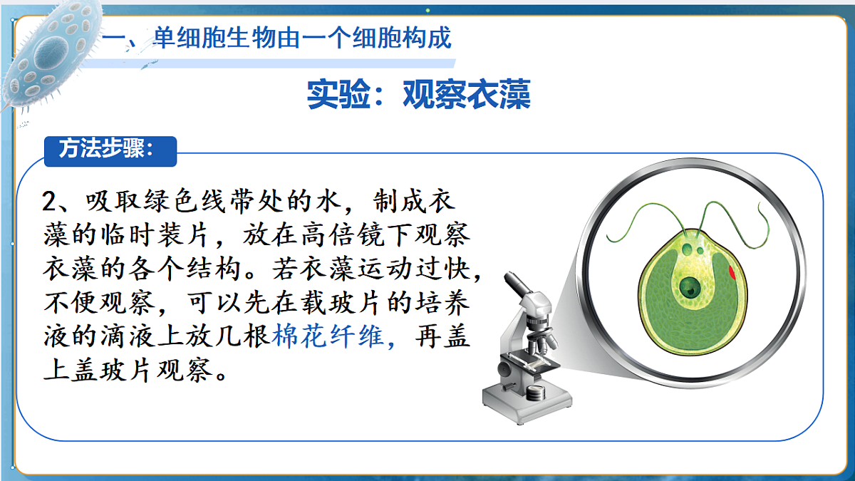17763324第8页