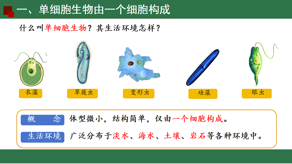 17763327第4页