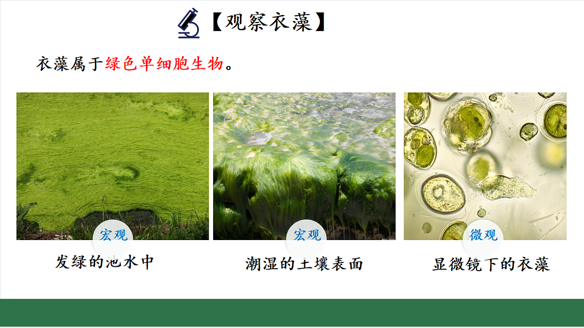 17763327第5页