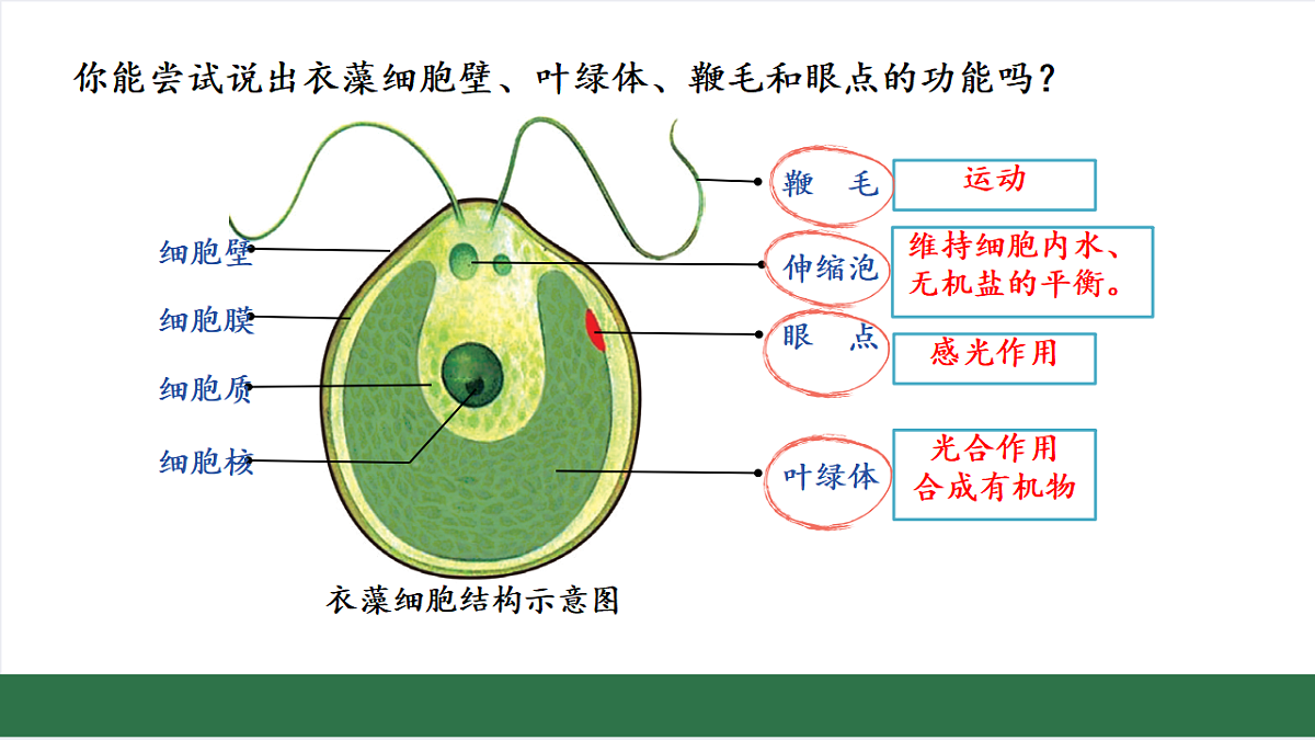 17763327第6页
