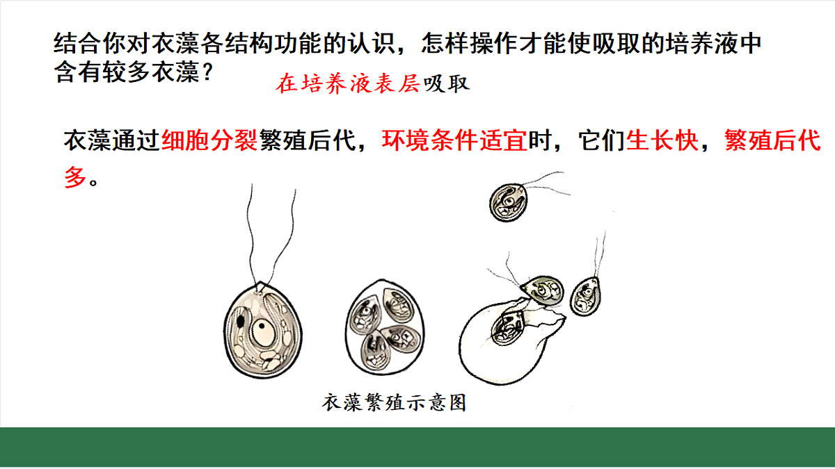 17763327第7页