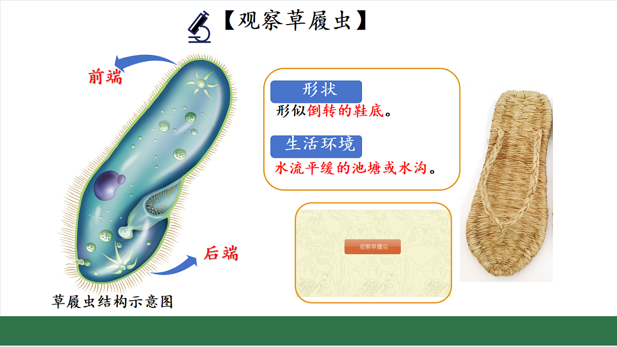 17763327第8页