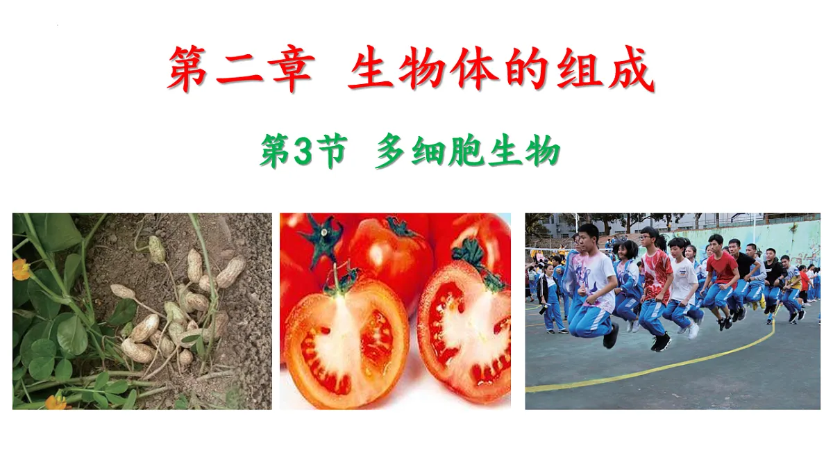 17763352第1页