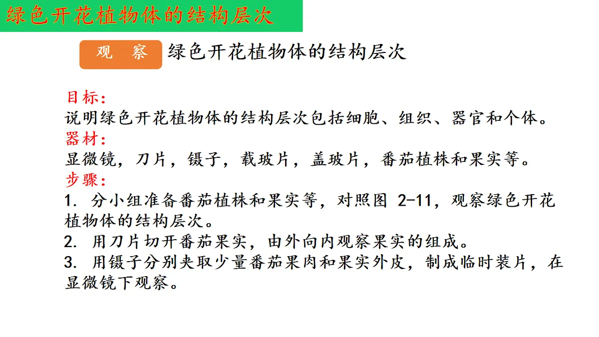 17763352第5页