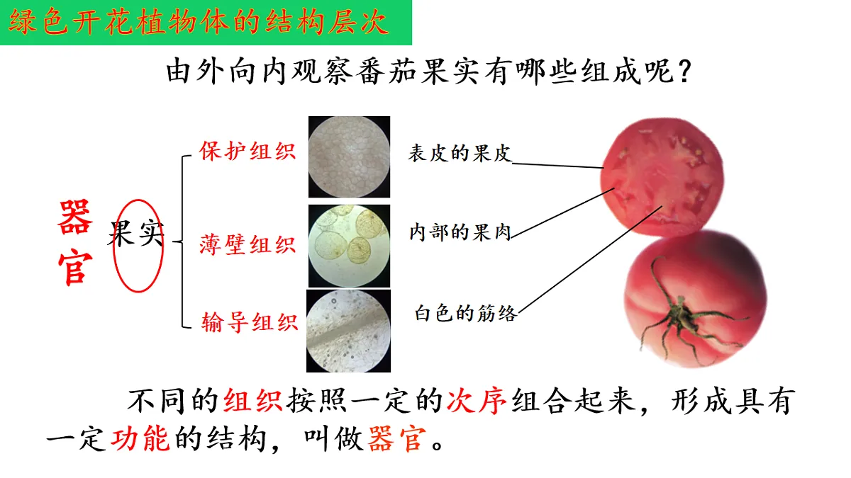 17763352第6页