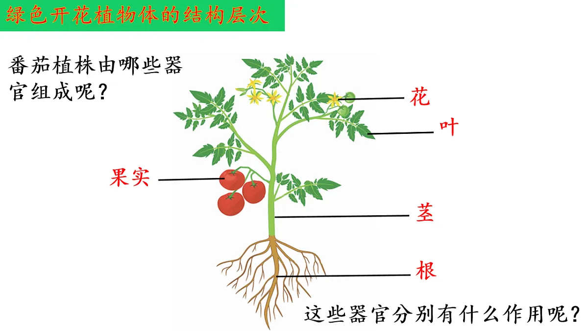 17763352第7页