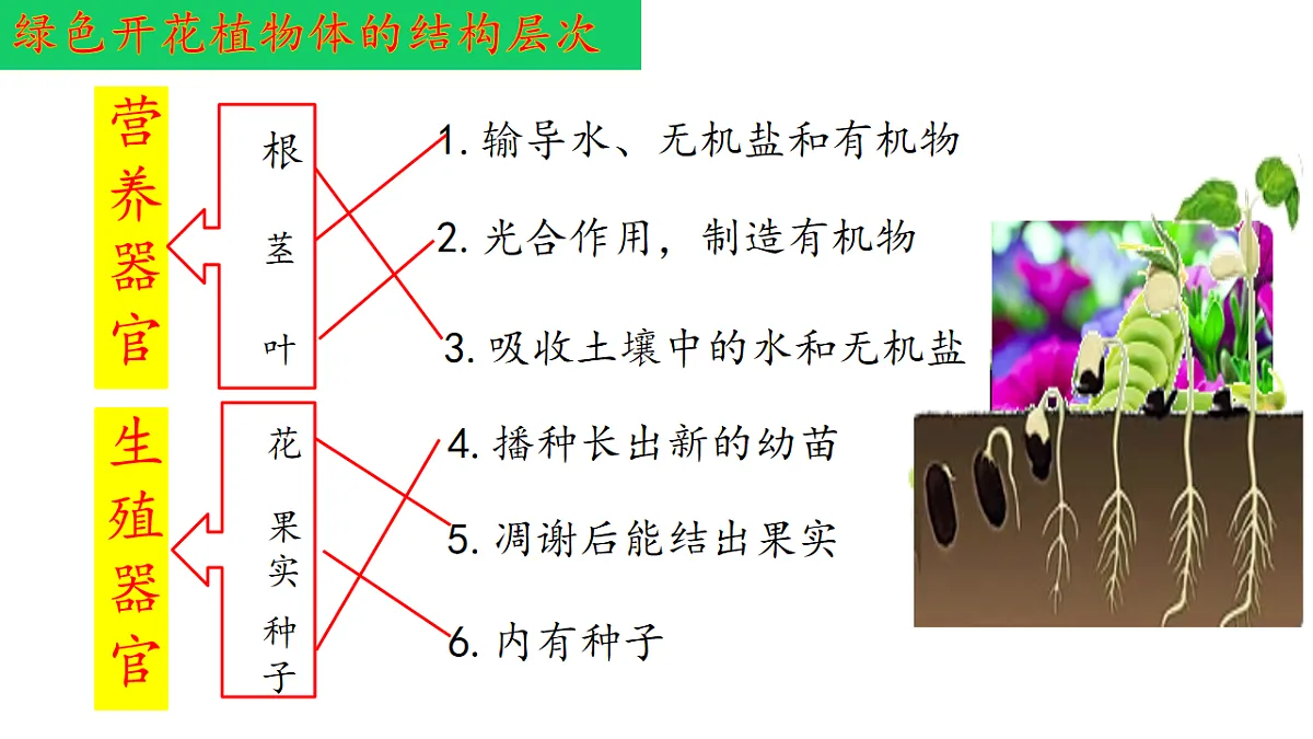 17763352第8页