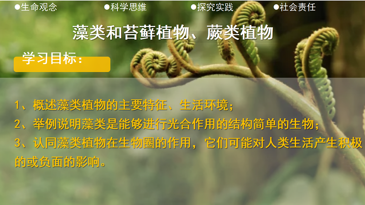 17763377第2页