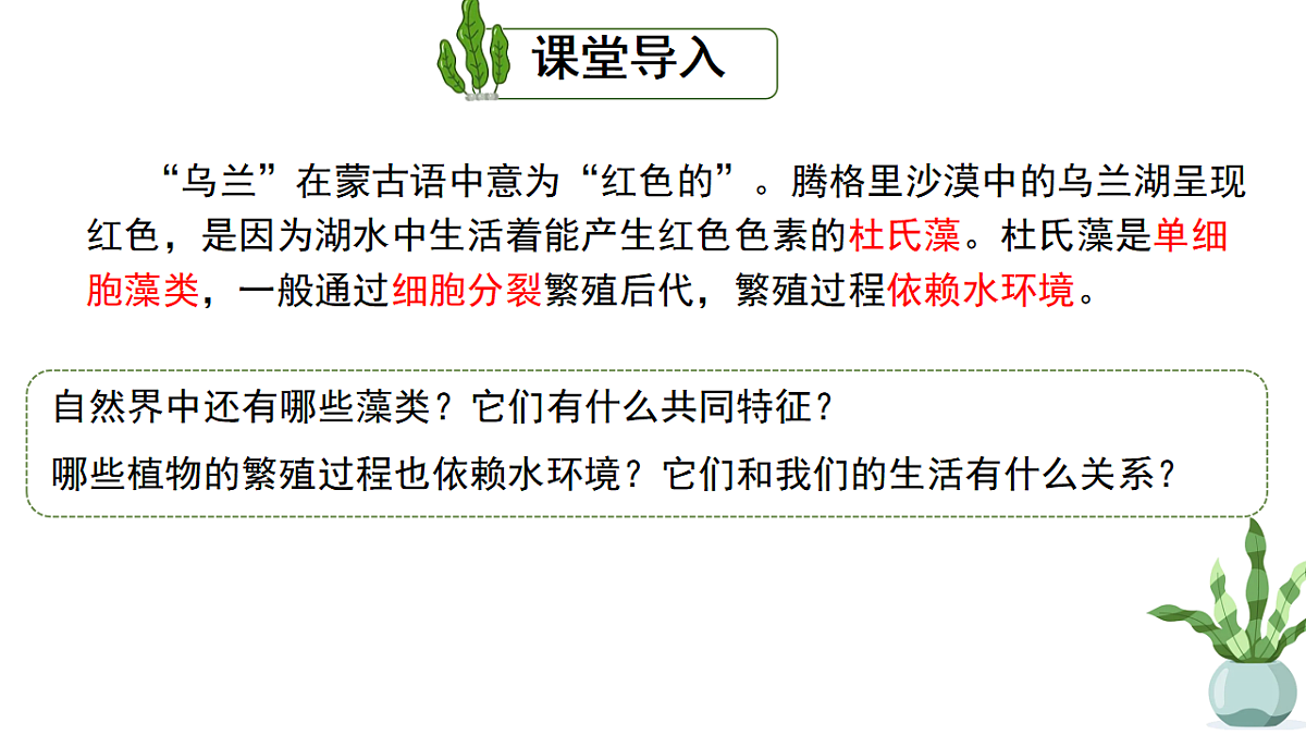 17763377第4页