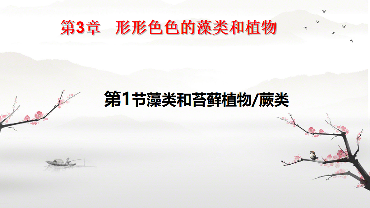 17763379第1页