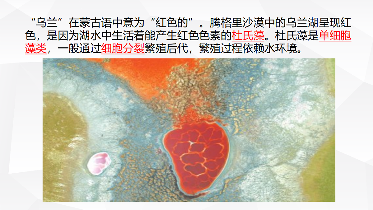17763379第2页