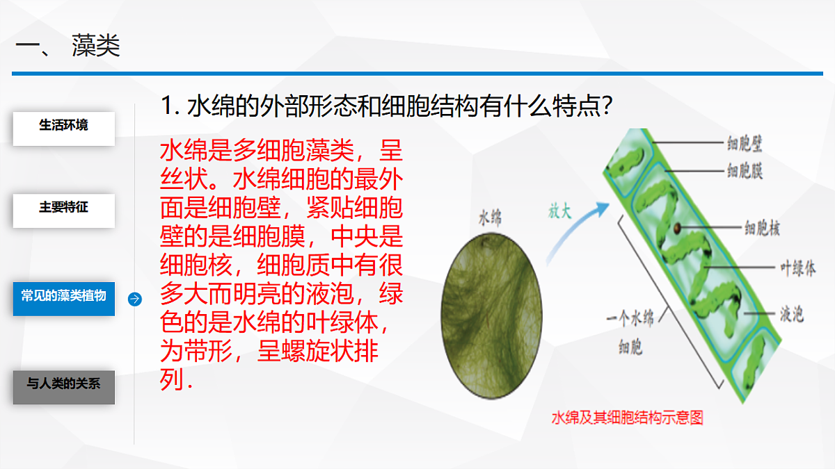 17763379第5页