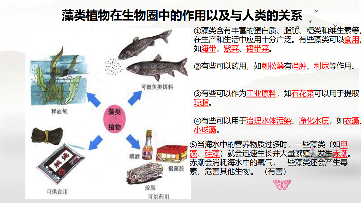 17763379第8页