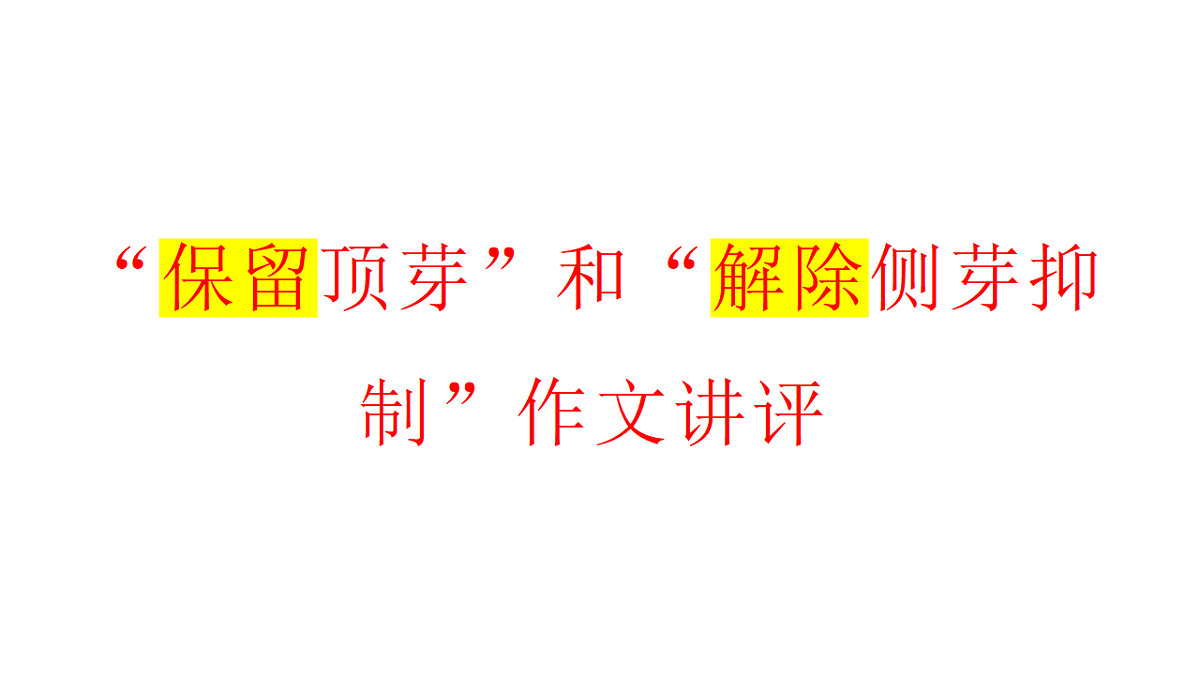 17763388第1页