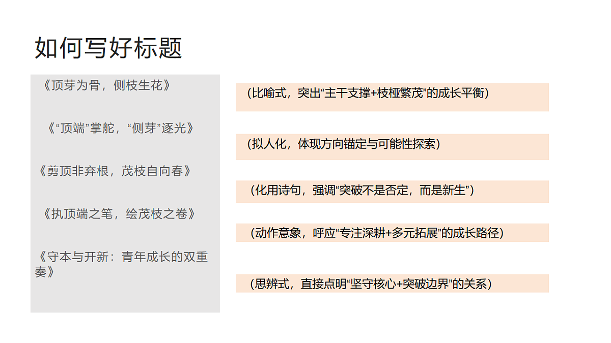 17763388第7页
