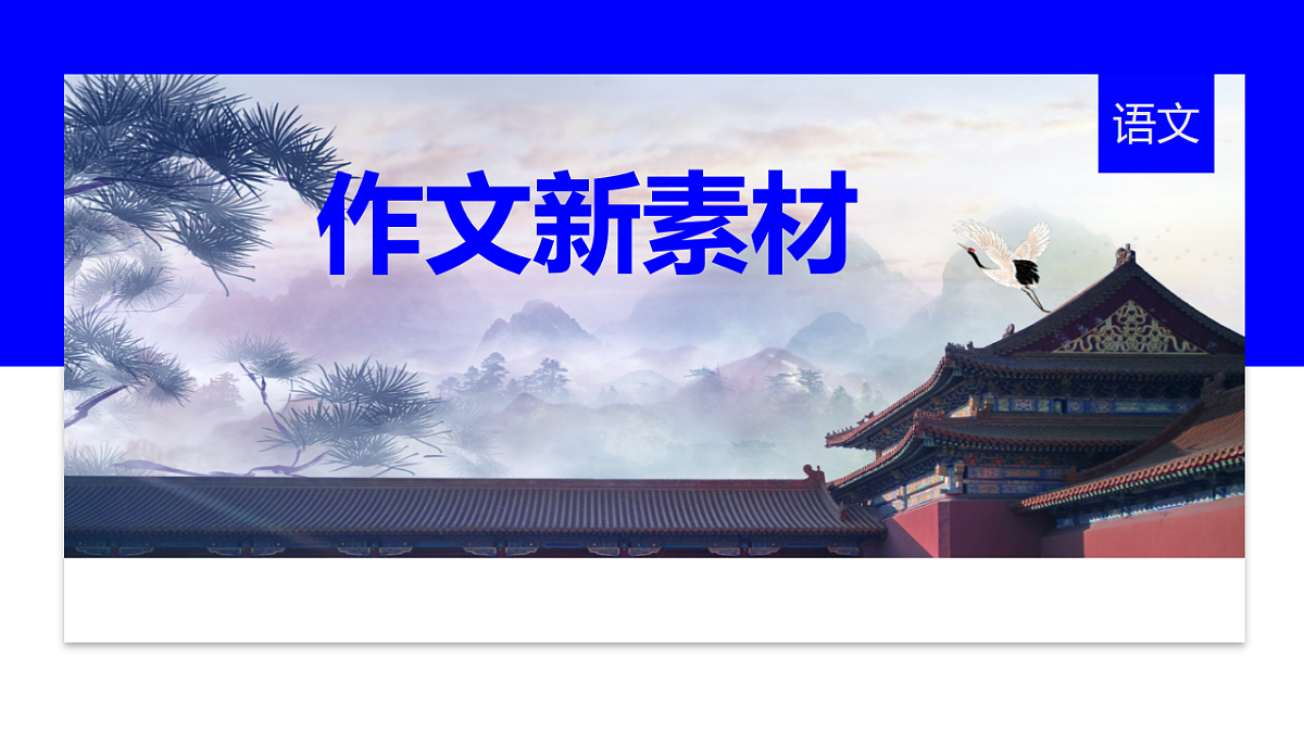 17763404第1页