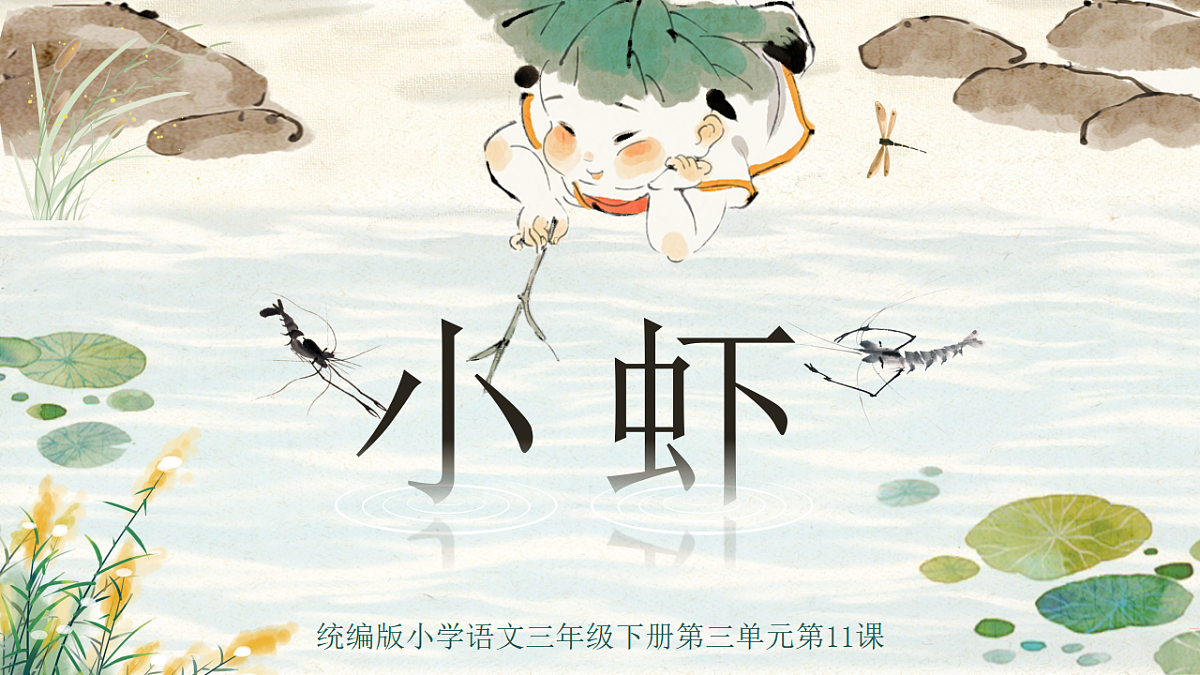 三下第三单元11《小虾》 教学课件第3页