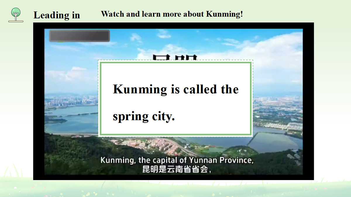 17763591第6页