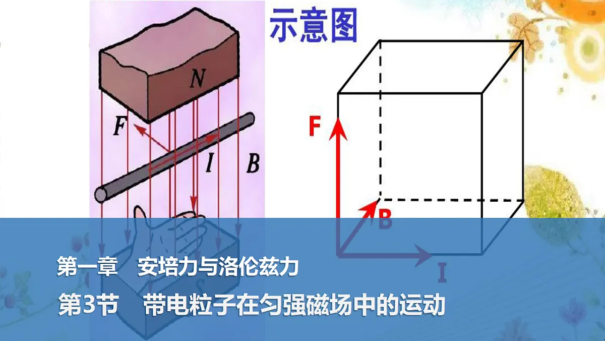 17764463第1页