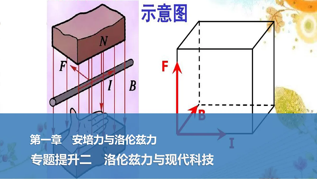 17764716第1页